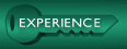 EXPERIENCE